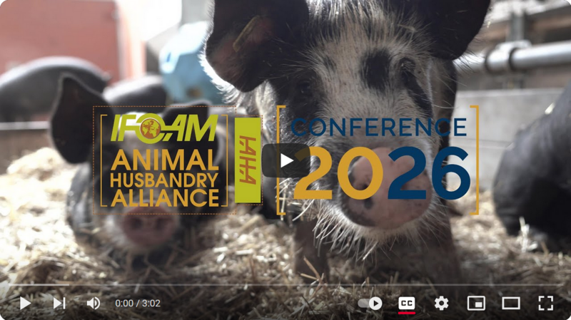Screenshot of the promo video for the IAHA 2026 Conference. The logo of the conference is in the centre and in the background you see a close up of a pig.